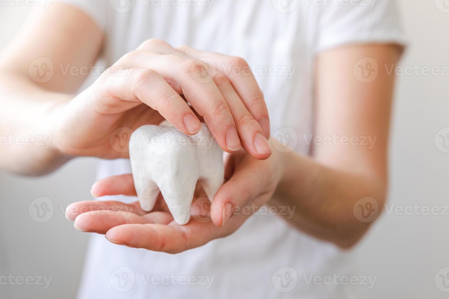 conceito de atendimento odontológico de saúde. mão de uma mulher segurando o modelo de dente saudável branco isolado no fundo branco. clareamento dos dentes, higiene bucal dental, restauração dos dentes, dia do dentista. foto