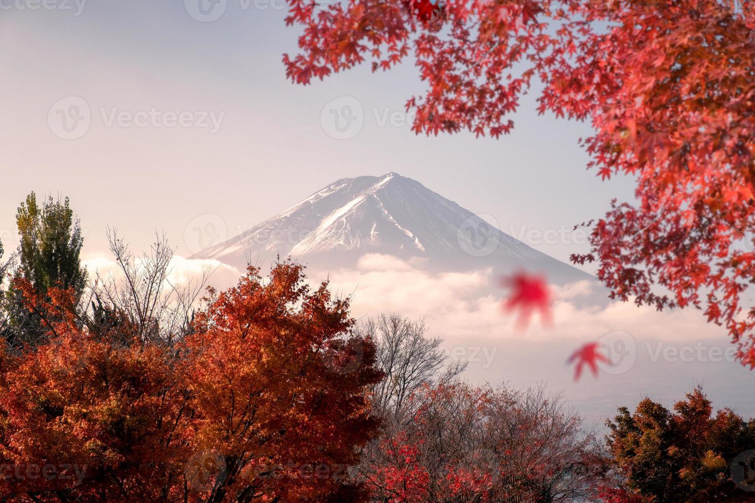 montanha fuji-san em folhas vermelhas maple no outono foto