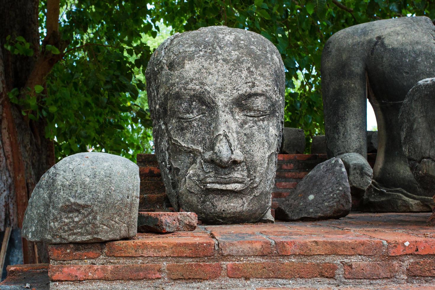 a cabeça de uma imagem de buda de pedra em uma cerca velha no templo ratchaburana. foto