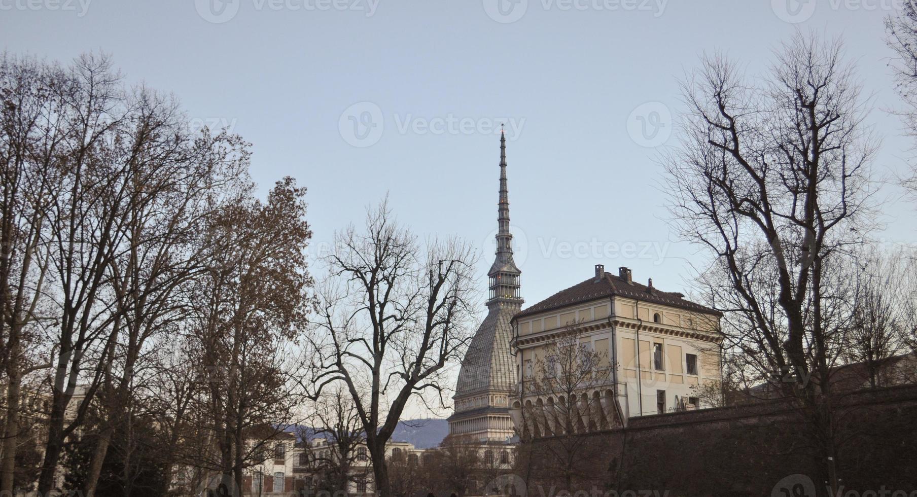 toupeira antonelliana em turin foto