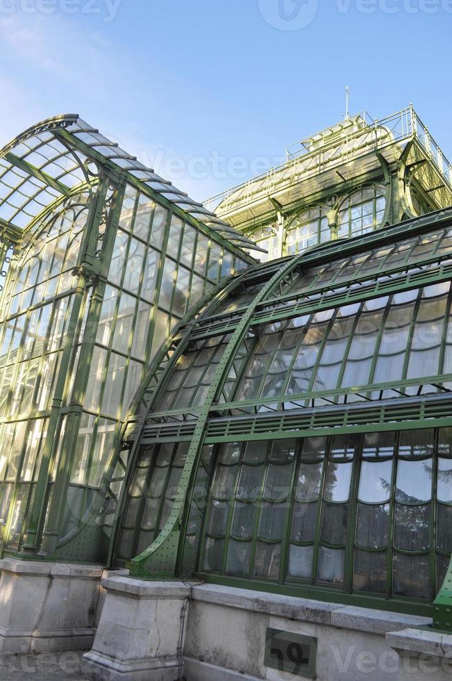 palmenhaus schoenbrunn em Viena foto