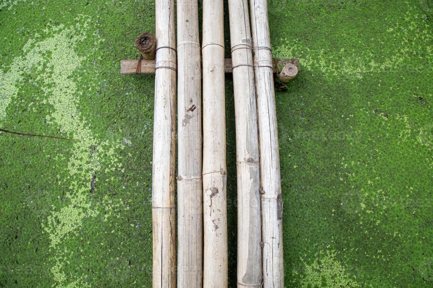 ponte seca de bambu marrom cruza sobre ervas daninhas verdes. foto