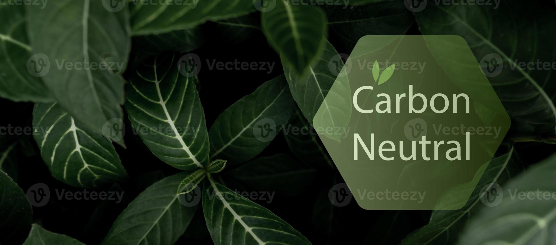 conceito neutro de carbono. co2 neutro no logotipo do hexágono nas folhas verdes. dia do meio ambiente e fundo do dia da terra. eco amigável. ecologia ambiente e conservação. banner web horizontal neutro em carbono. foto