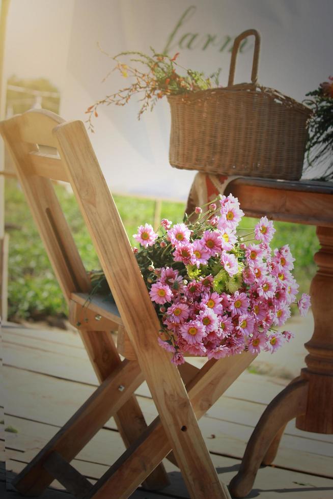 linda flor de crisântemo rosa em uma cadeira de madeira foto