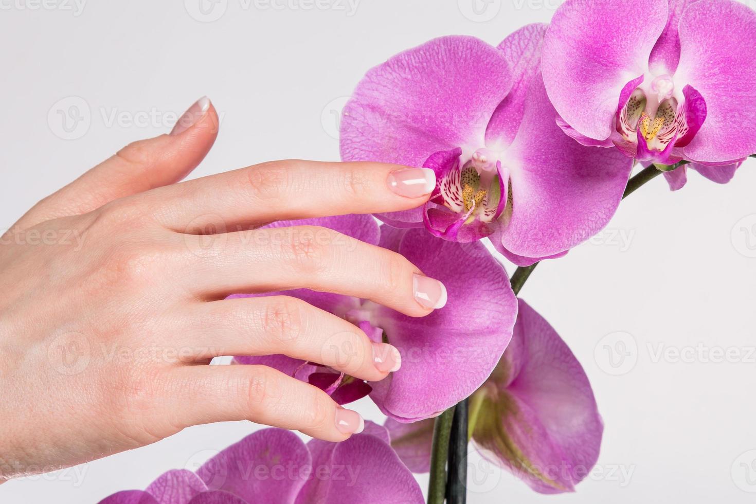 manicure francesa e flor de orquídea foto