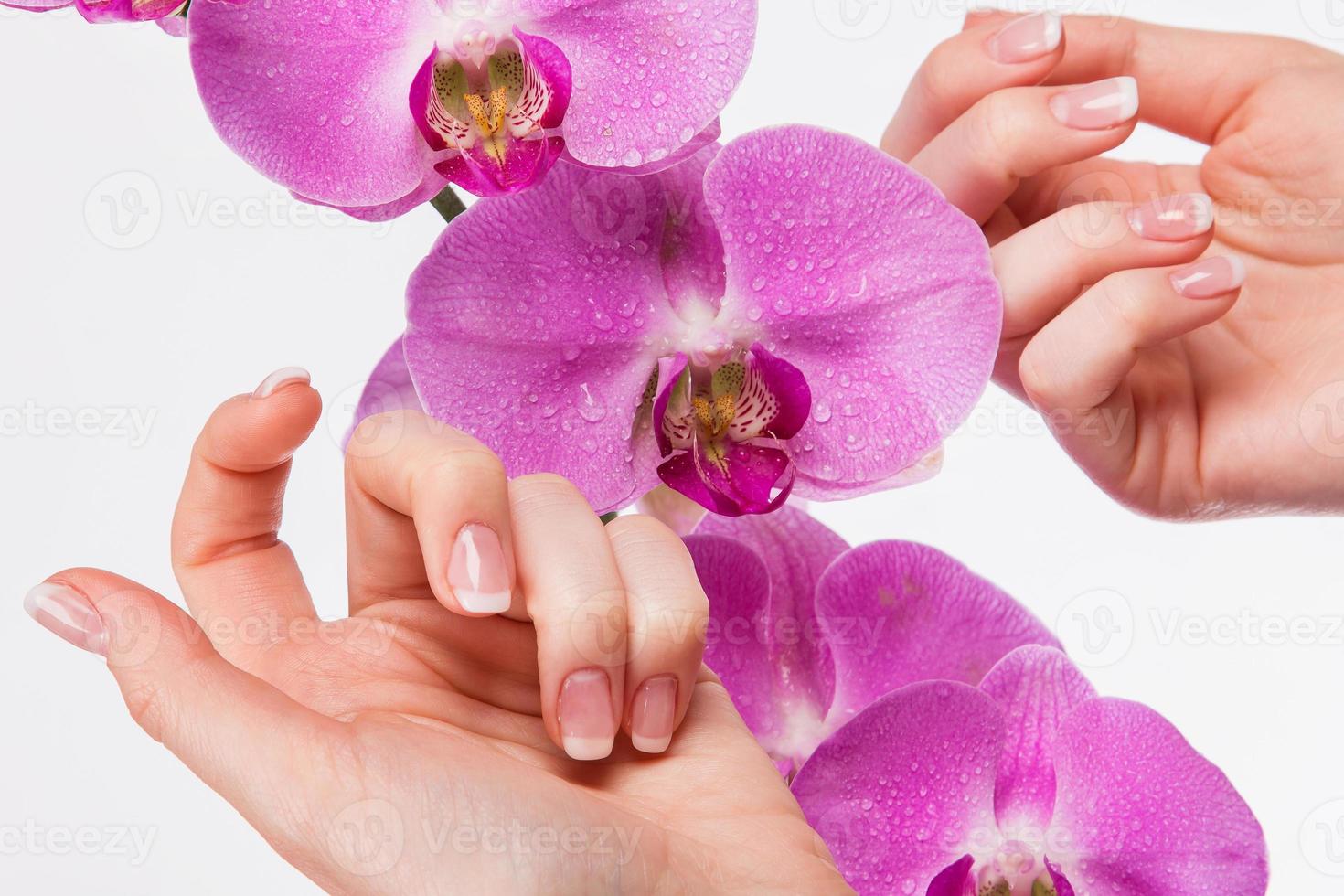 manicure francesa e flor de orquídea foto