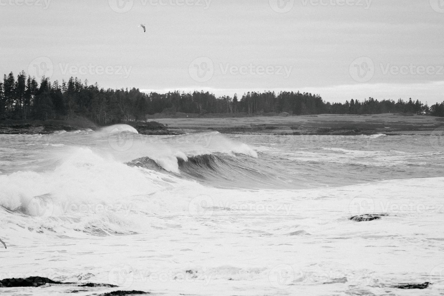 preto e branco das ondas do mar foto