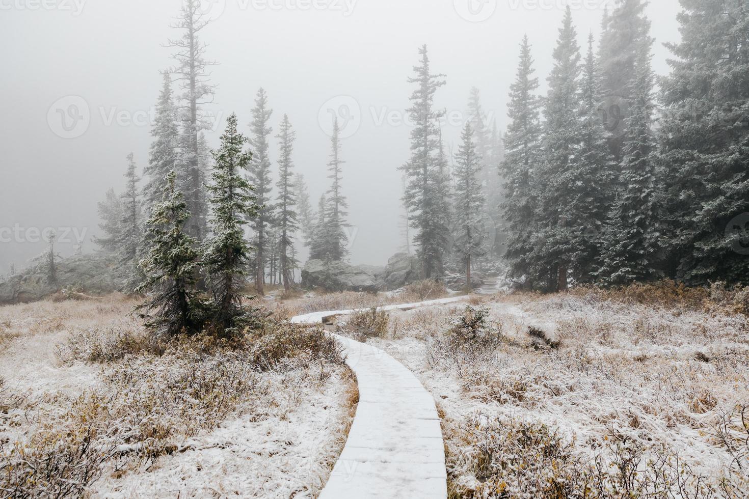 caminho de madeira em uma floresta de inverno foto