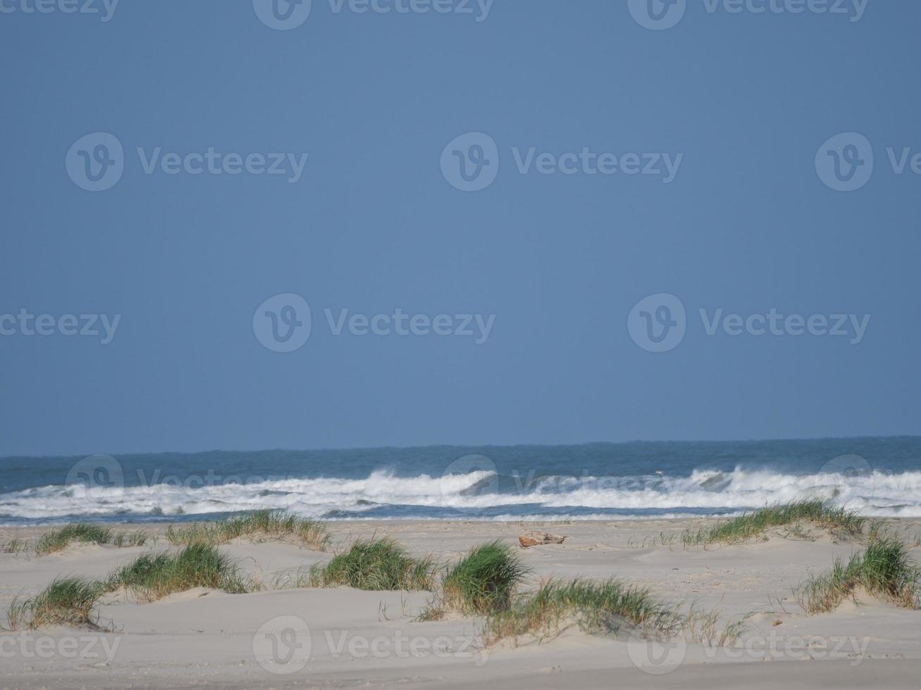 tiem de verão na ilha juist foto