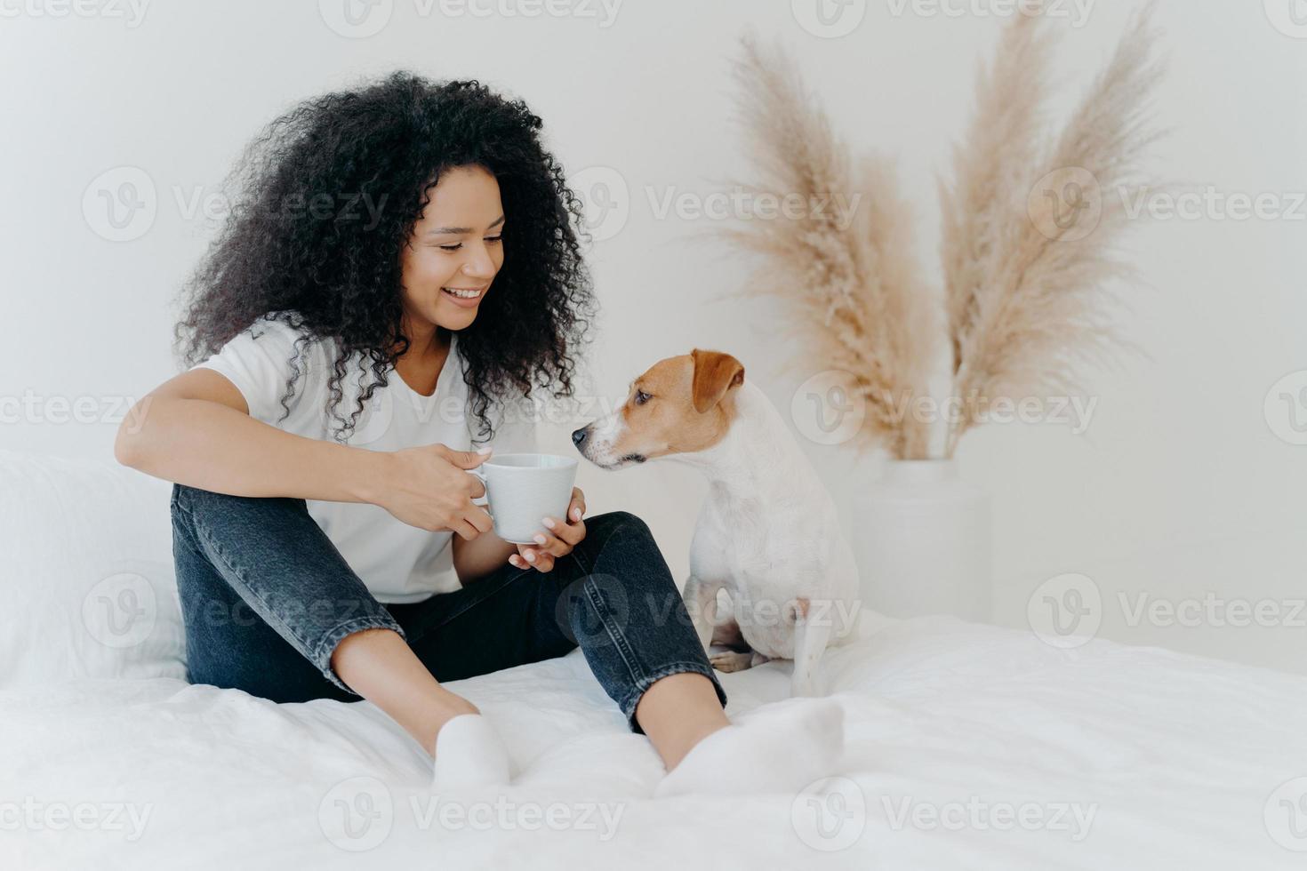 tiro horizontal de mulher afro-americana feliz passa tempo de lazer com cachorro, sente conforto, posa na cama com roupa de cama branca. jack rusell terrier cheira bebida aromática da caneca, senta-se perto do dono foto