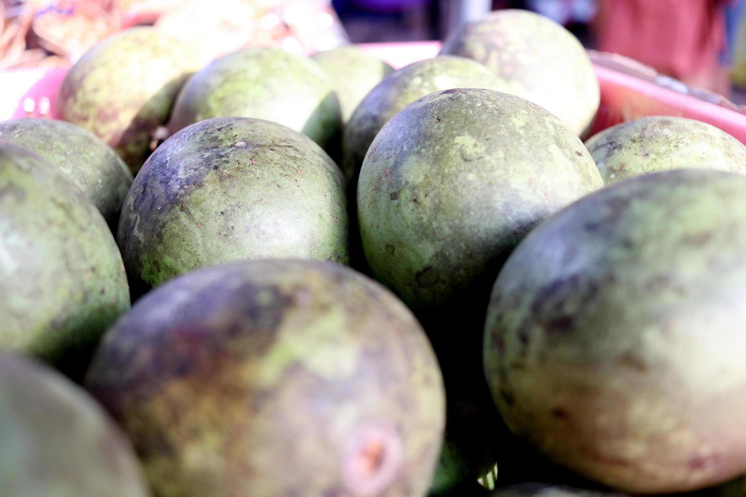 frutos maduros de bael ou marmelo de bengala e luz solar na casca, tailândia. foto