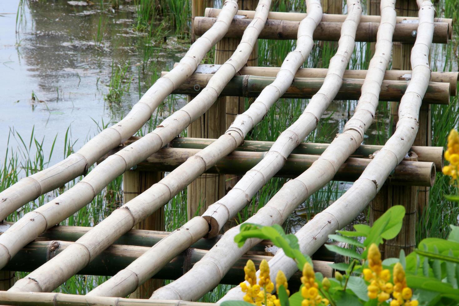 estrutura de base da ponte de bambu, toda a ponte de bambu marrom claro ao lado do pantanal, tailândia. foto