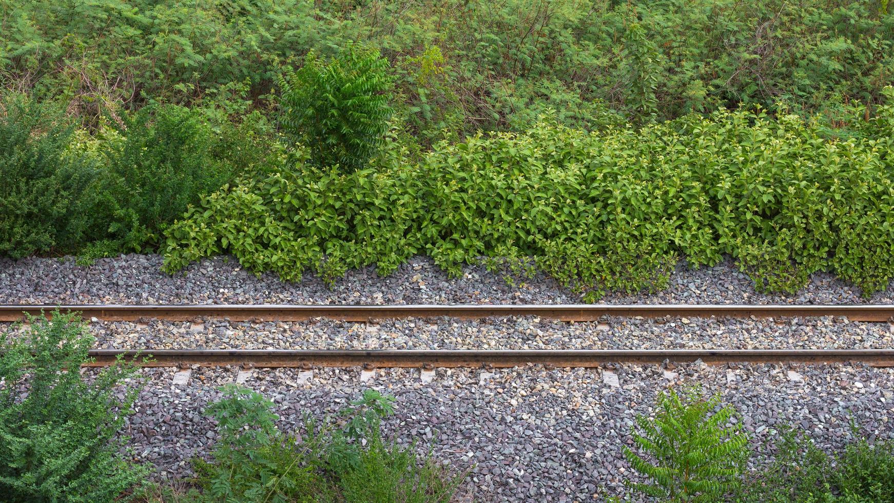 ferrovia com grama, ervas daninhas foto