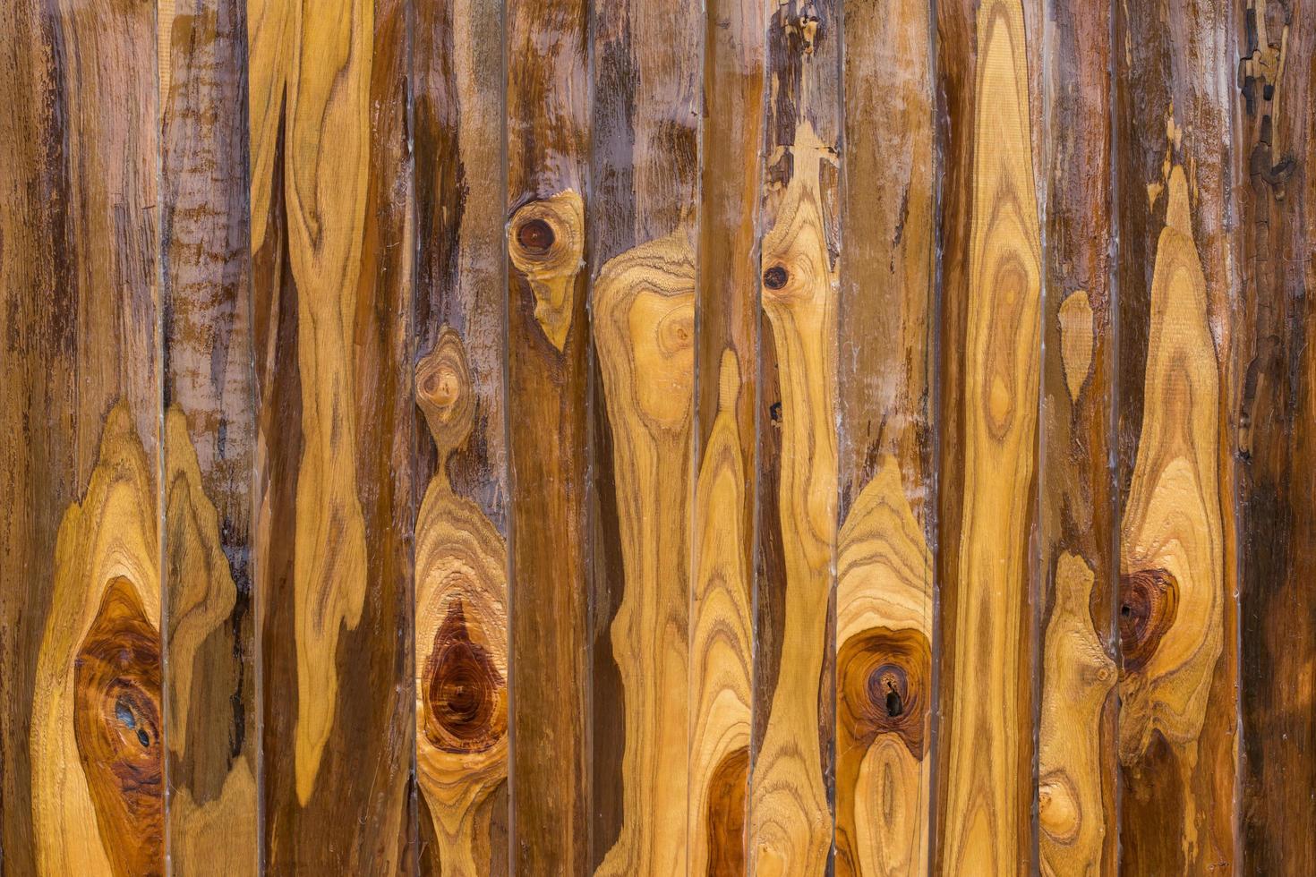 paredes de madeira polida. foto
