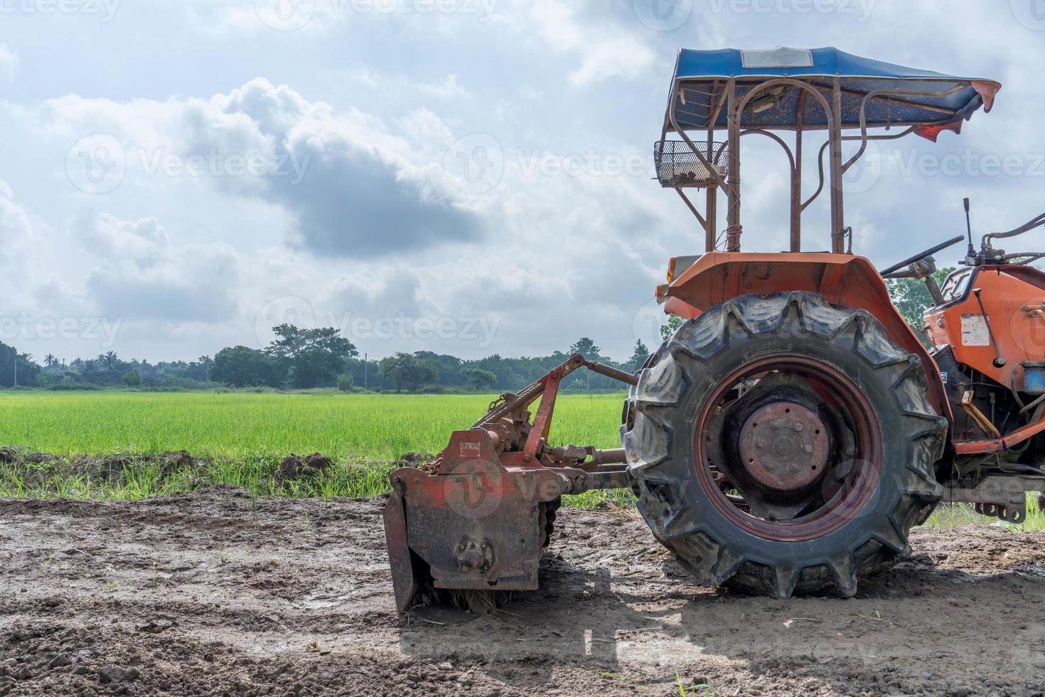 trator em um campo de arroz foto