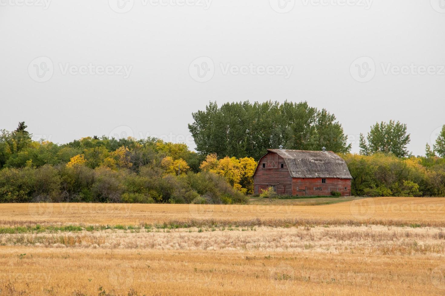 celeiro abandonado na zona rural de saskatchewan, canadá foto