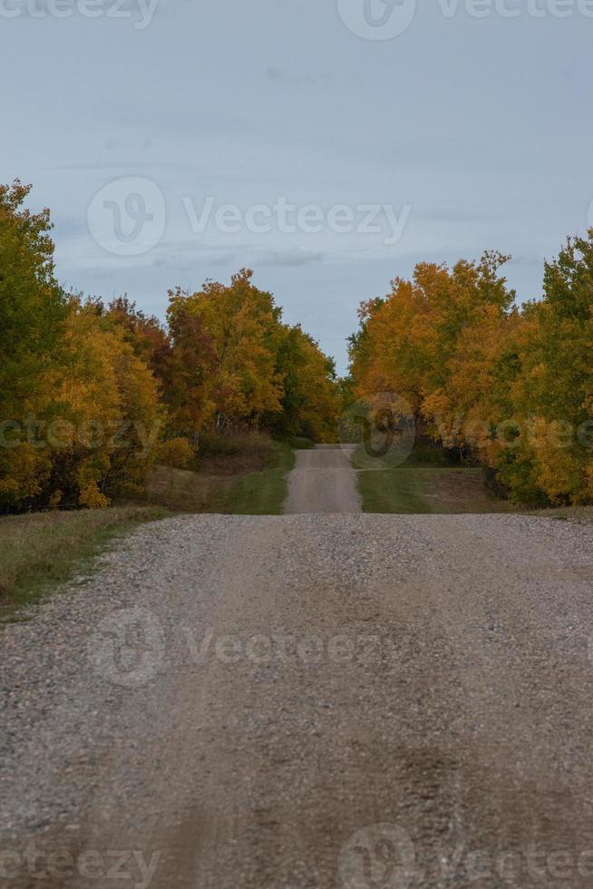 estrada rural nas pradarias canadenses no outono. foto