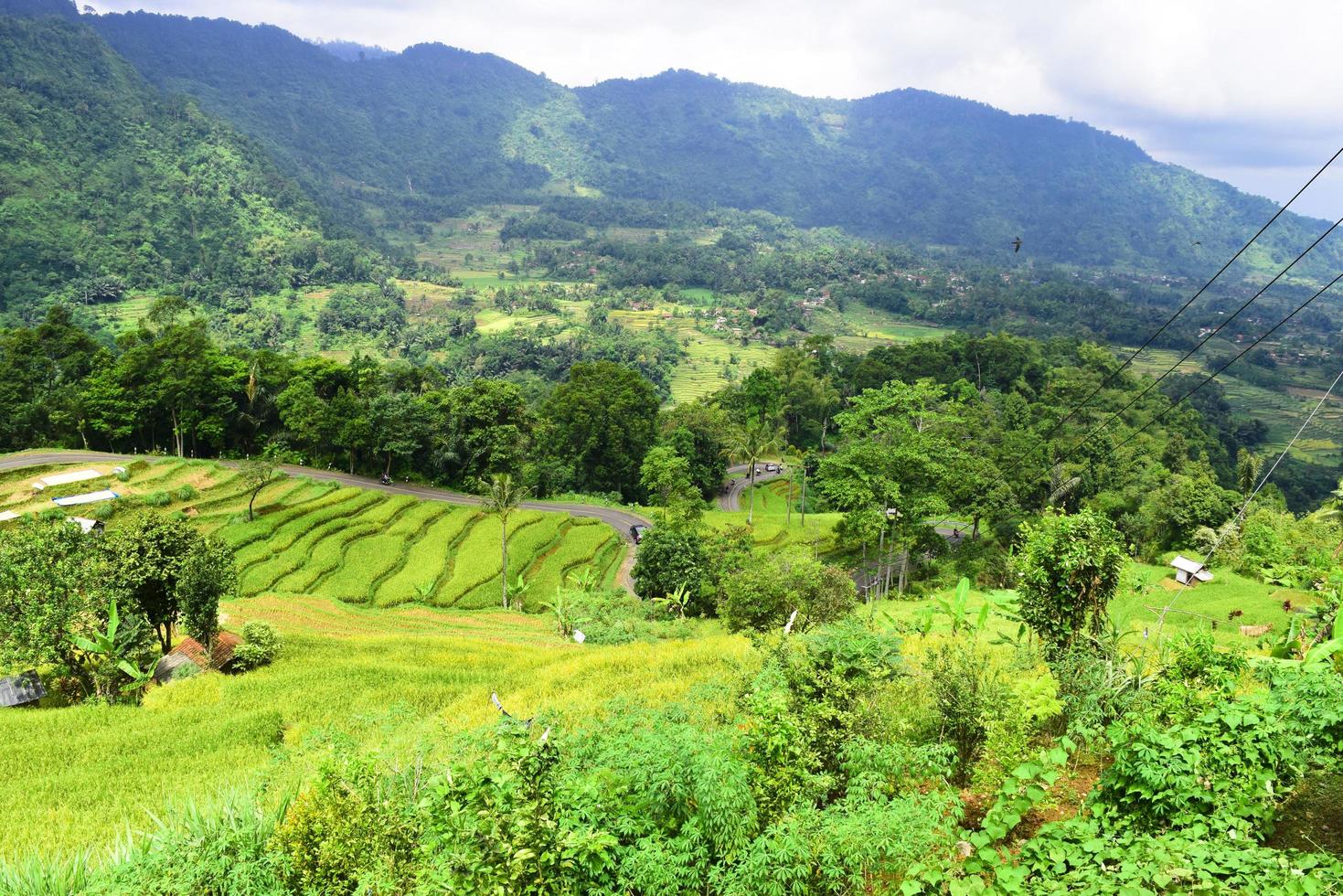 belos campos de arroz na indonésia bons para sua documentação de viagem foto