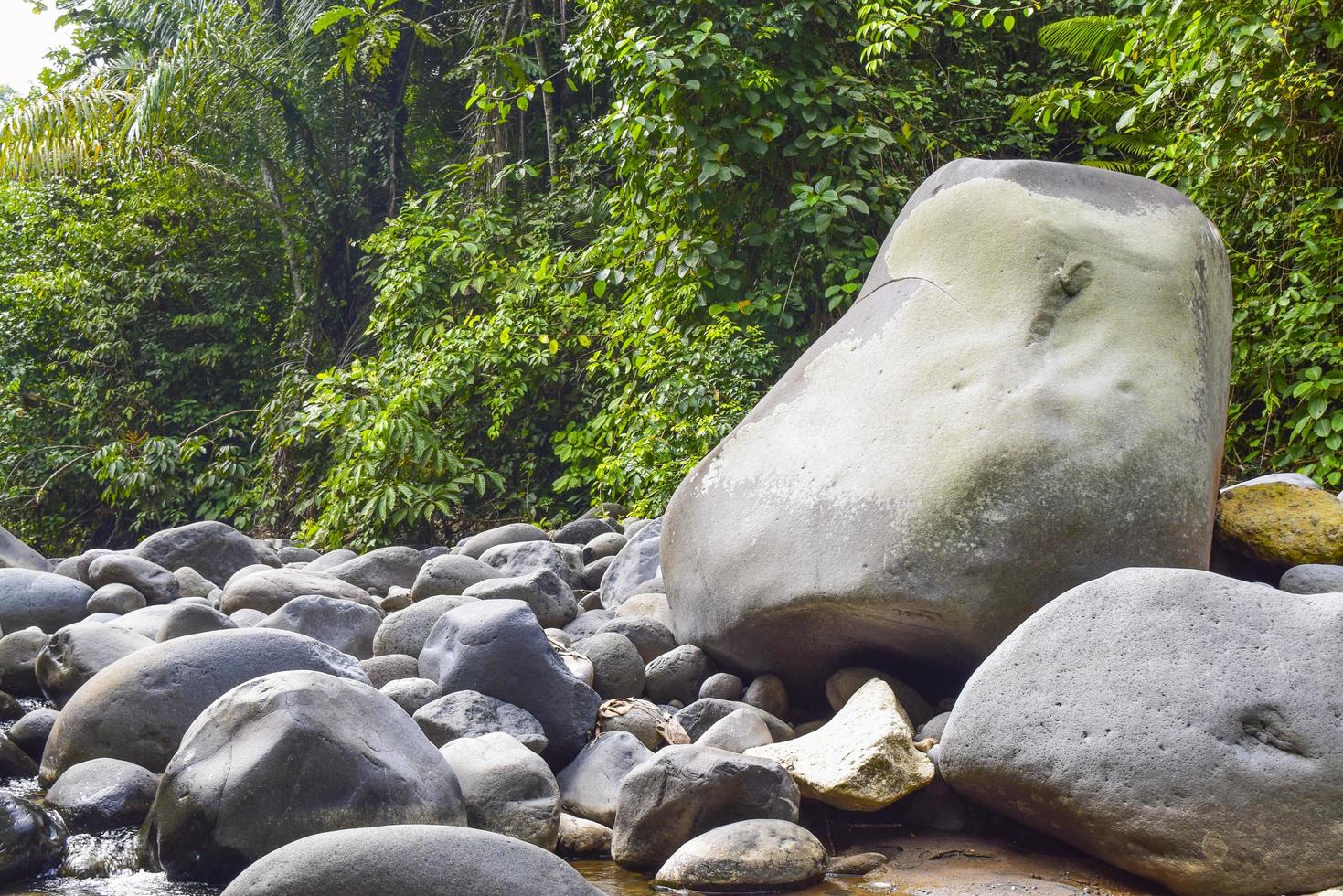 grande pedra no rio no meio da floresta foto