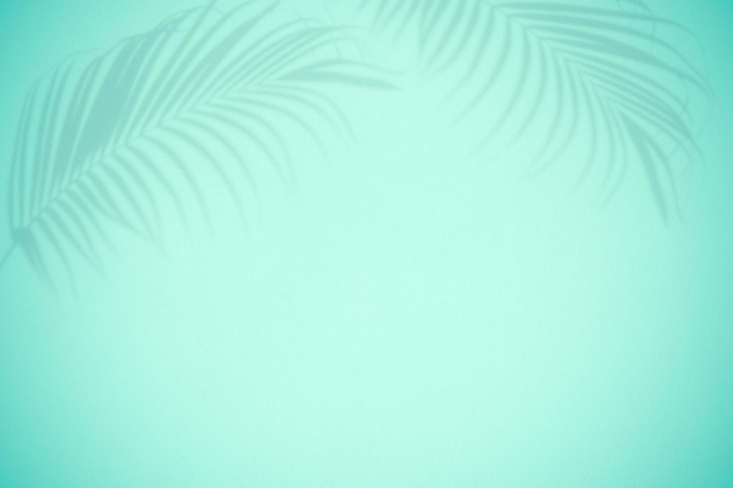 sombra preta abstrata de folha de palmeira no fundo da parede verde para design de padrão. foto