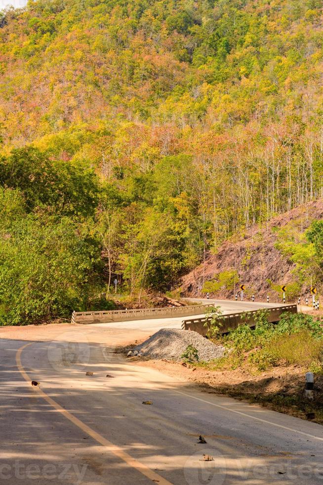 cor da estrada e da floresta em ambos os lados foto