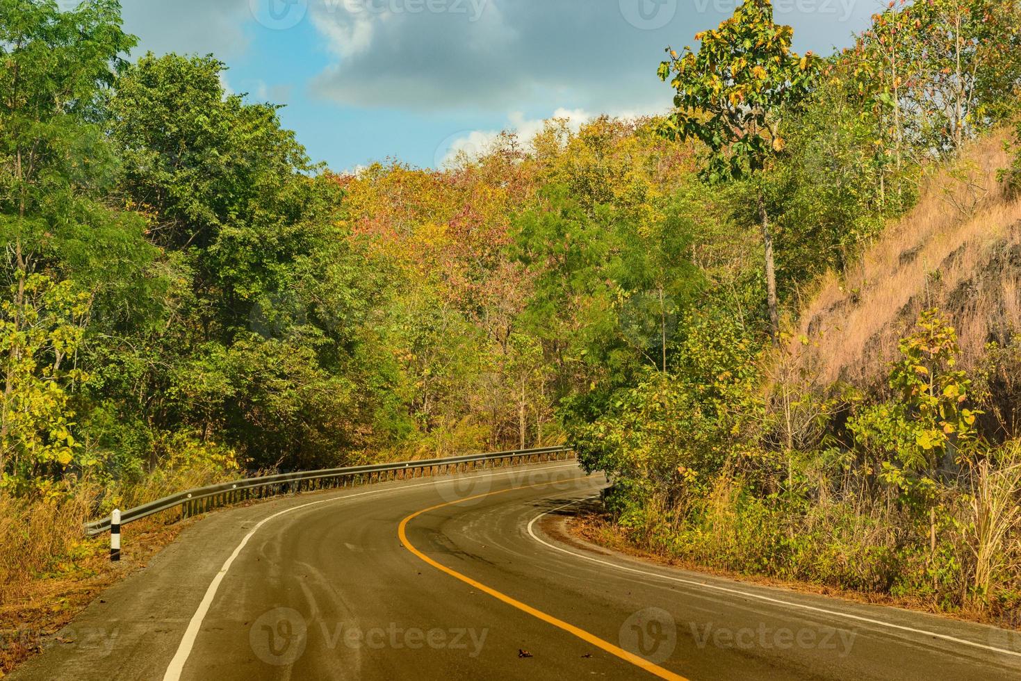 cor da estrada e da floresta em ambos os lados foto