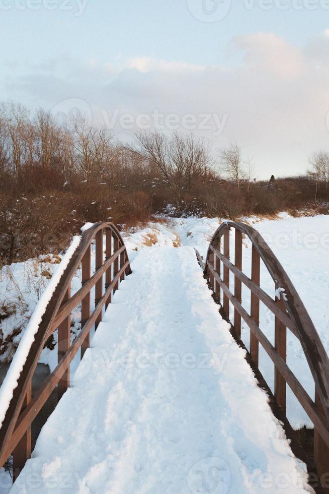 caminho coberto de neve foto