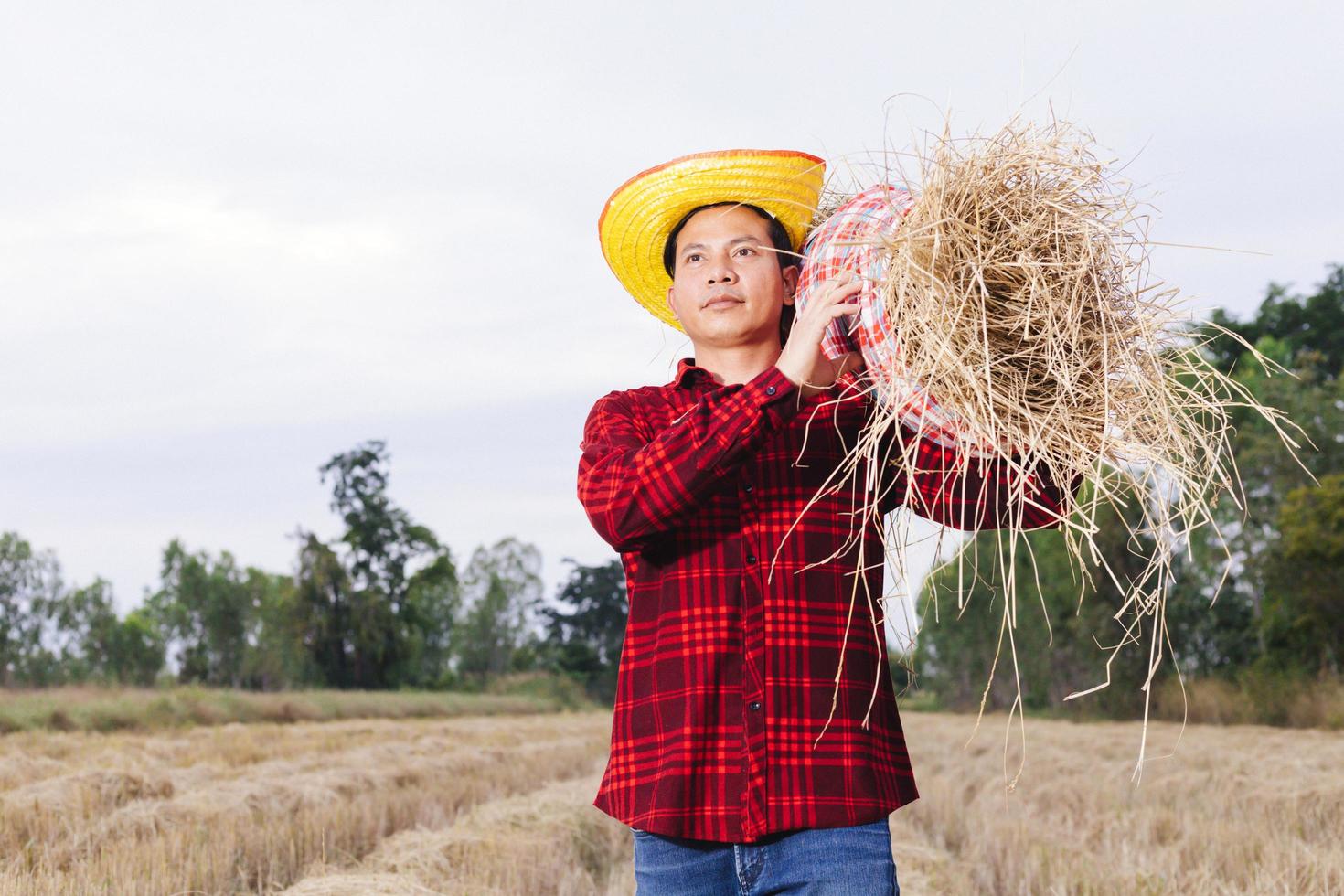 agricultor asiático com restolho de arroz no campo foto