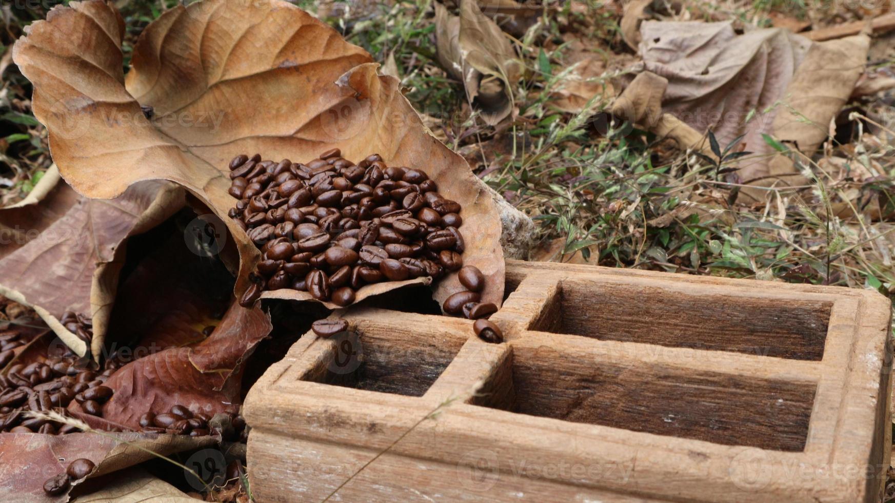 grãos de café em folhas secas de teca, caixas de madeira de teca foto