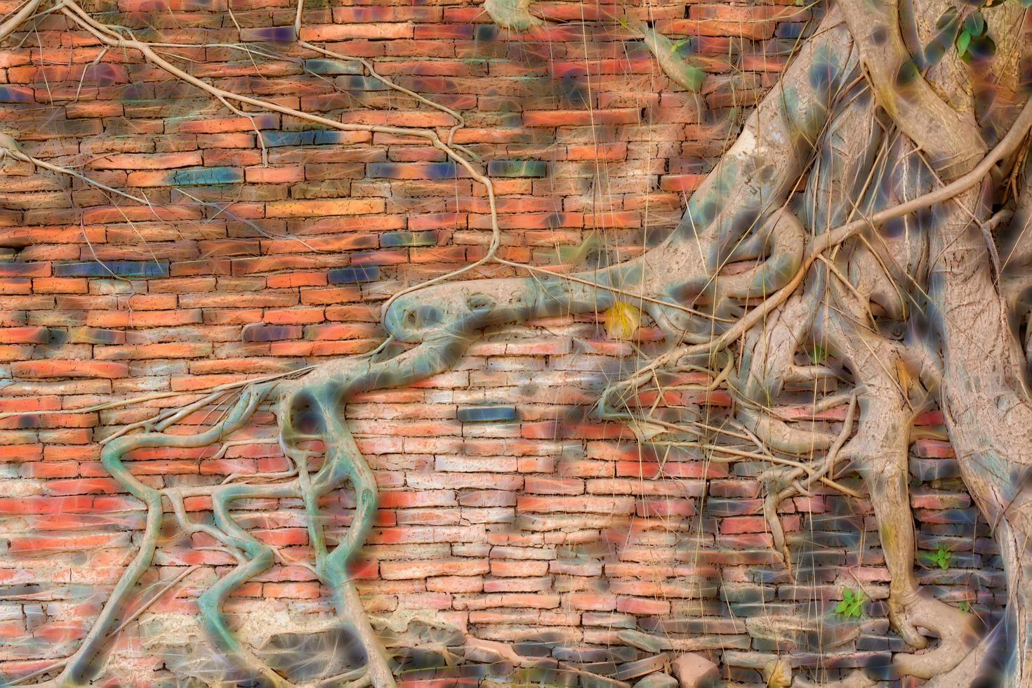 parede de pedra e textura de raízes de árvores feitas de pedra dura. foto