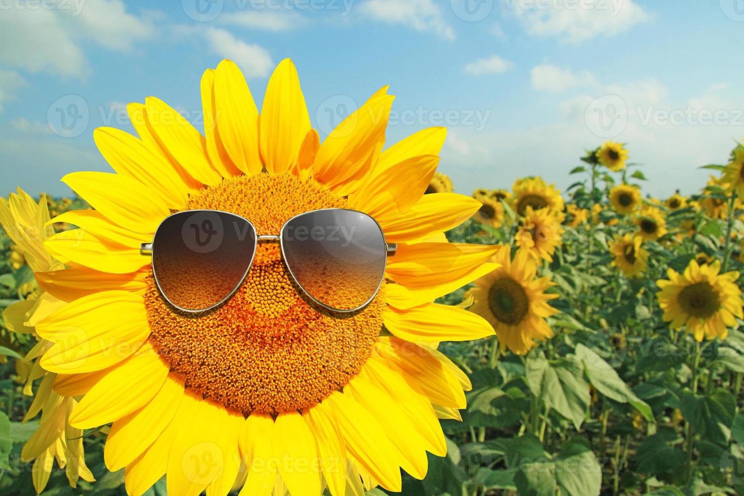 girassol engraçado com óculos de sol em um céu azul foto