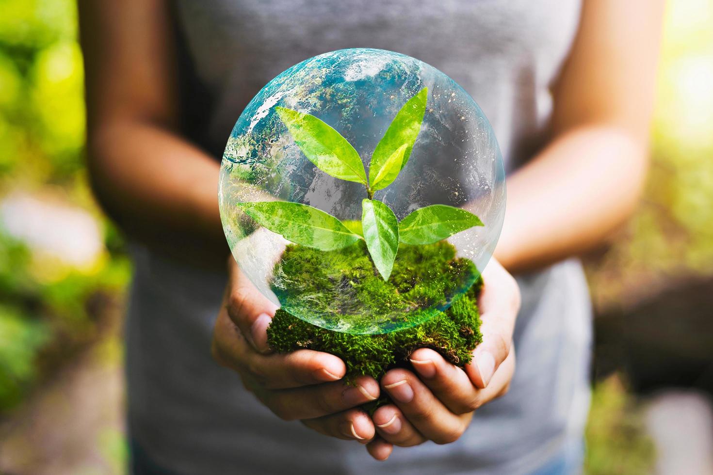 mão segurando o globo com crescimento de plantas jovens e sol na natureza. conceito salvar terra.elementos desta imagem mobiliado nasa foto