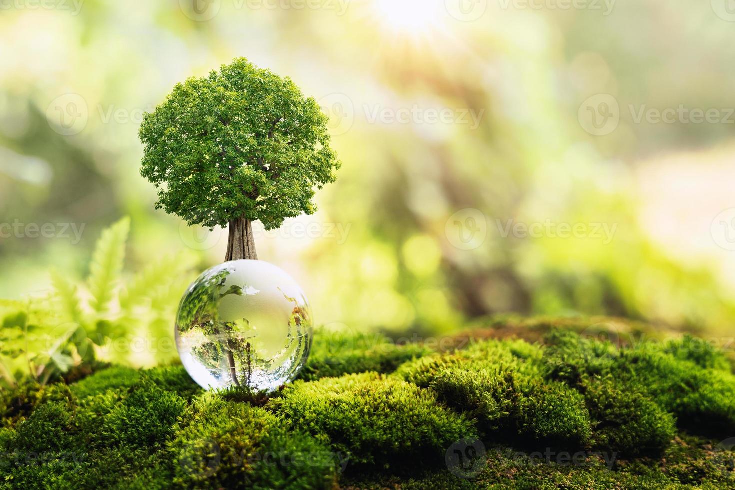 crescimento de árvores em vidro globo na natureza. conceito eco dia da terra foto