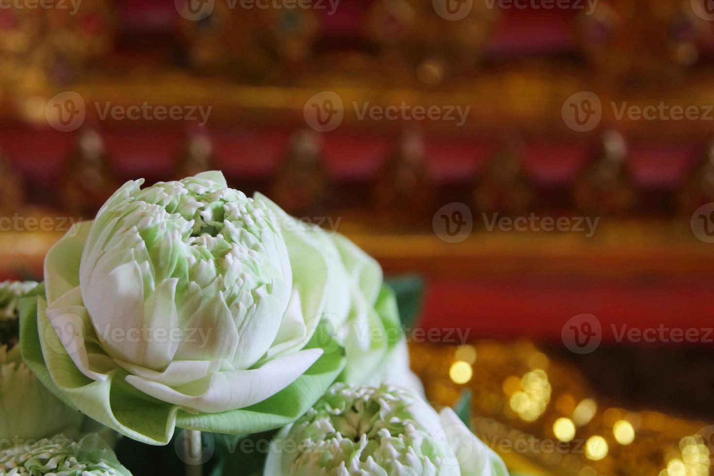 flores de lótus brancas foram dobradas estão no prato e desfocam o fundo de cor dourada para adoração estátua de buda no templo, tailândia. foto