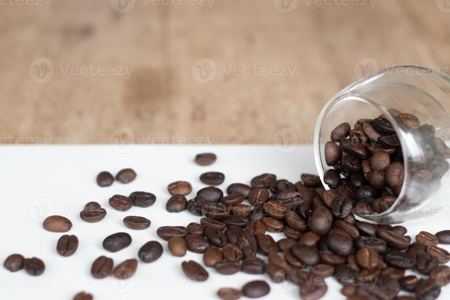 grãos de café torrados em fundo branco. foto