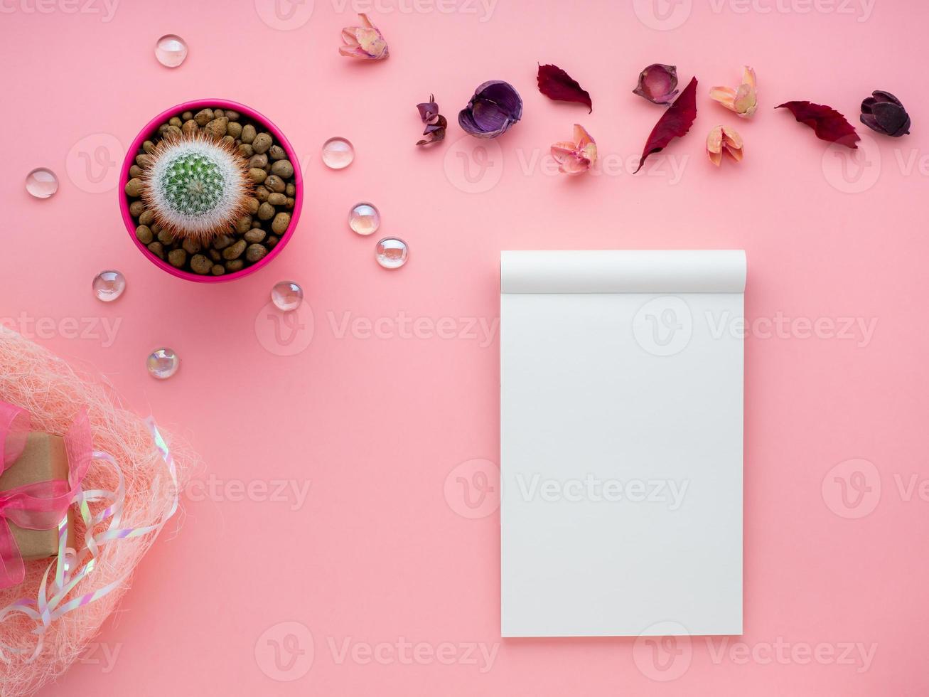 flor suculenta, bloco de notas, folhas secas e caixa de presente em fundo rosa brilhante, vista superior, copie o espaço foto