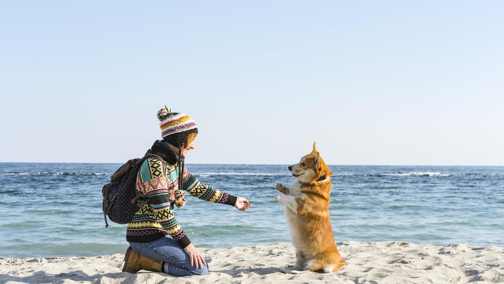 jovem fêmea feliz anda com cachorro corgi fofo na praia ensolarada de outono foto