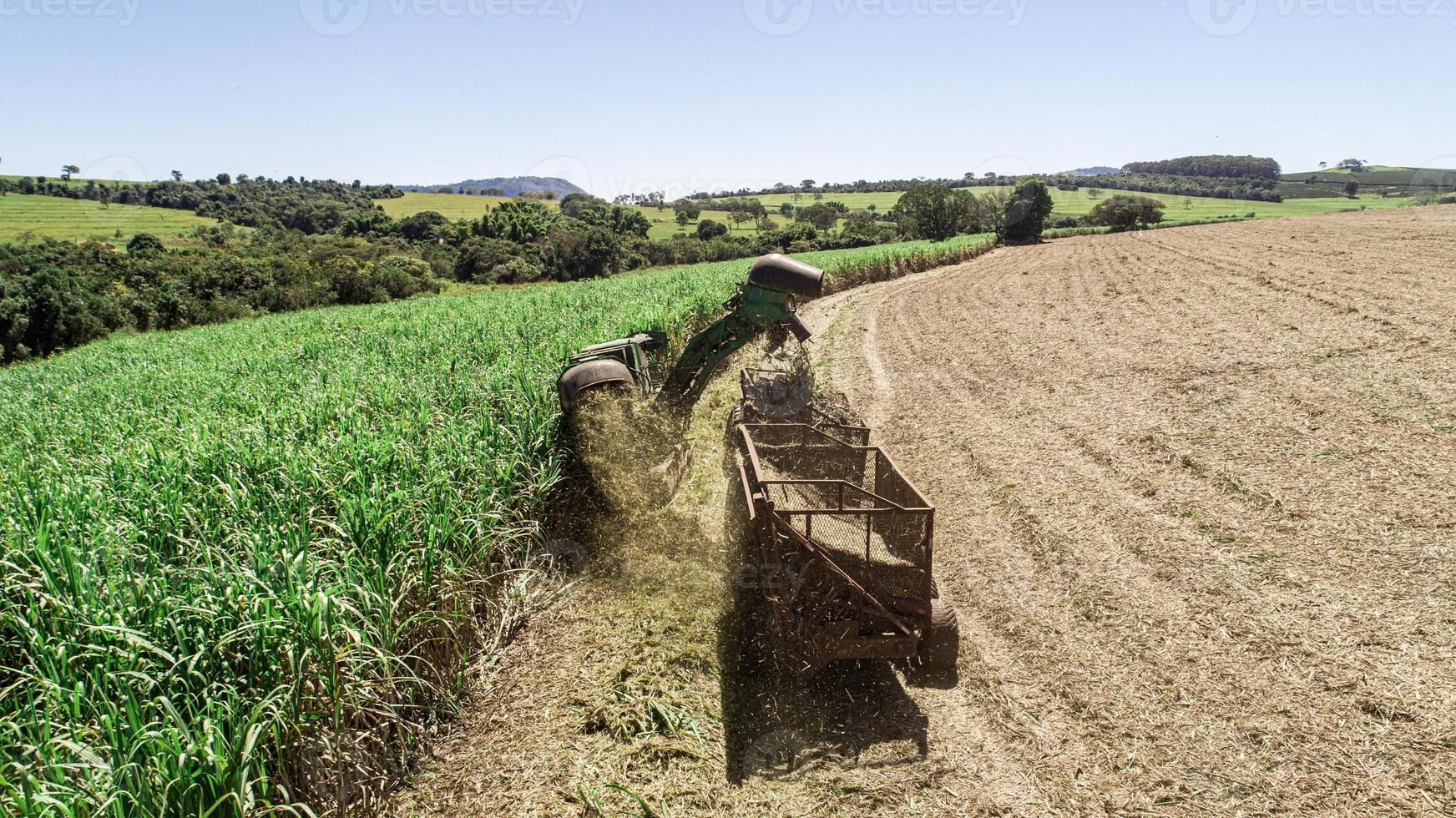 colheita de cana-de-açúcar em dia ensolarado no brasil. vista aérea. foto