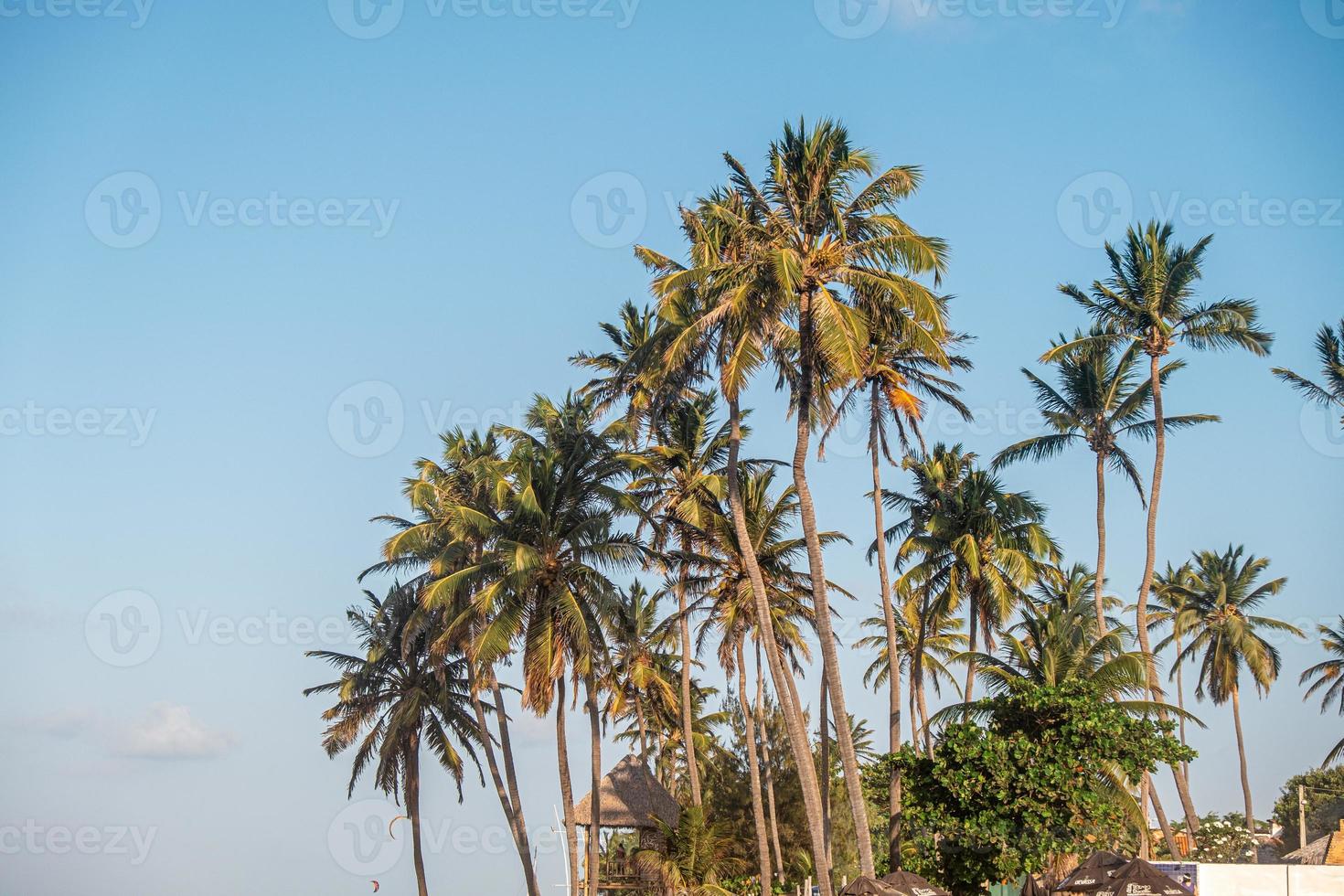 praia do cumbuco, lugar famoso perto de fortaleza, ceara, brasil. praia do cumbuco cheia de praticantes de kitesurf. lugares mais populares para a prática de kitesurf no brasil, os ventos são bons o ano todo. foto