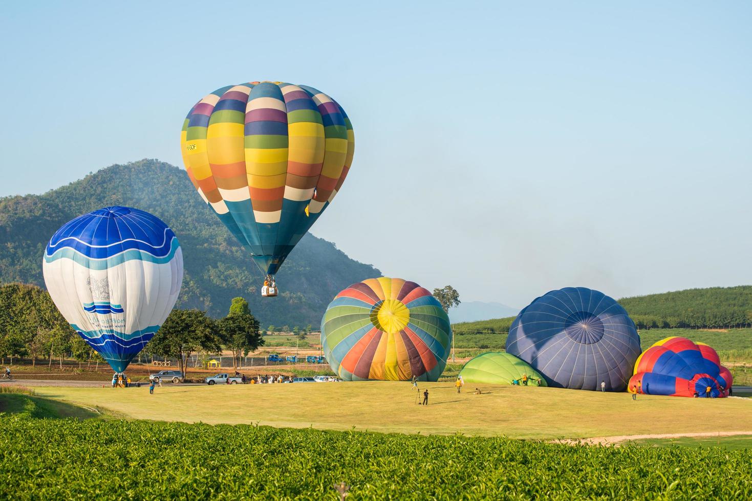 chiangrai, tailândia - 26 de novembro de 2014 - desafio de balões de ar quente no singha park chiangrai no farm festival 2014 foto