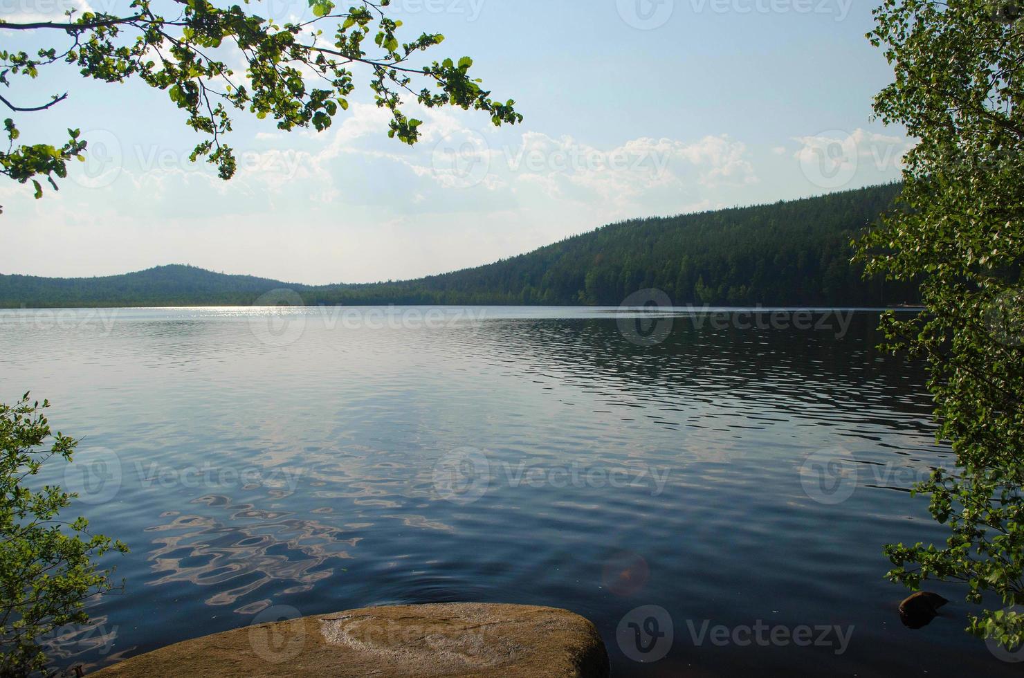 belo lago na floresta em um dia ensolarado. foto
