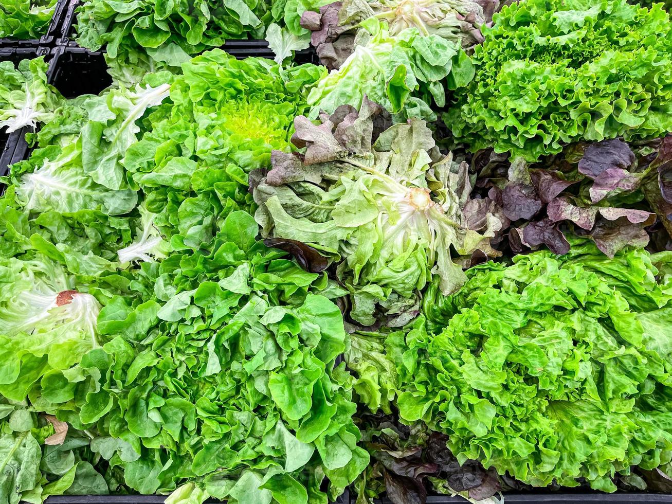 salada alface mix folhas verdes no balcão da loja do mercado refeição saudável comida lanche espaço de cópia foto