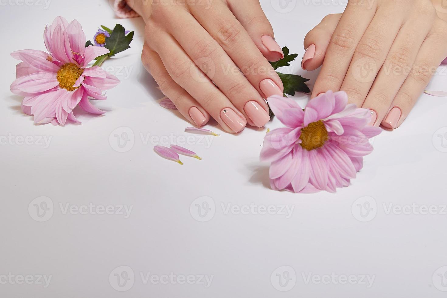 moda arte cuidados com a pele das mãos e flores cor de rosa nas mãos das mulheres foto