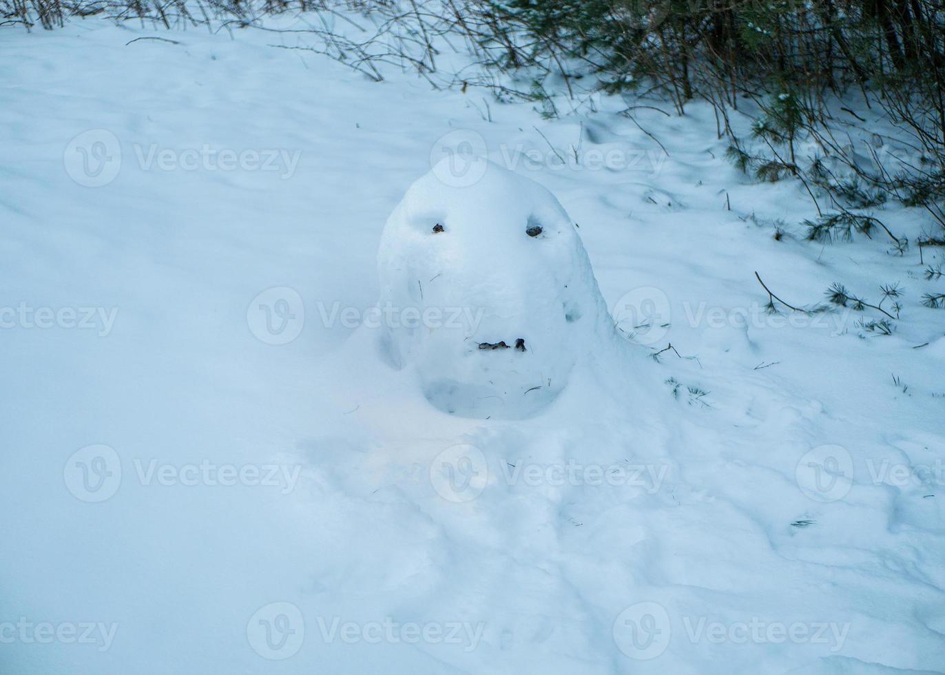 o boneco de neve derreteu sob o sol. o boneco de neve derrete sob o sol foto