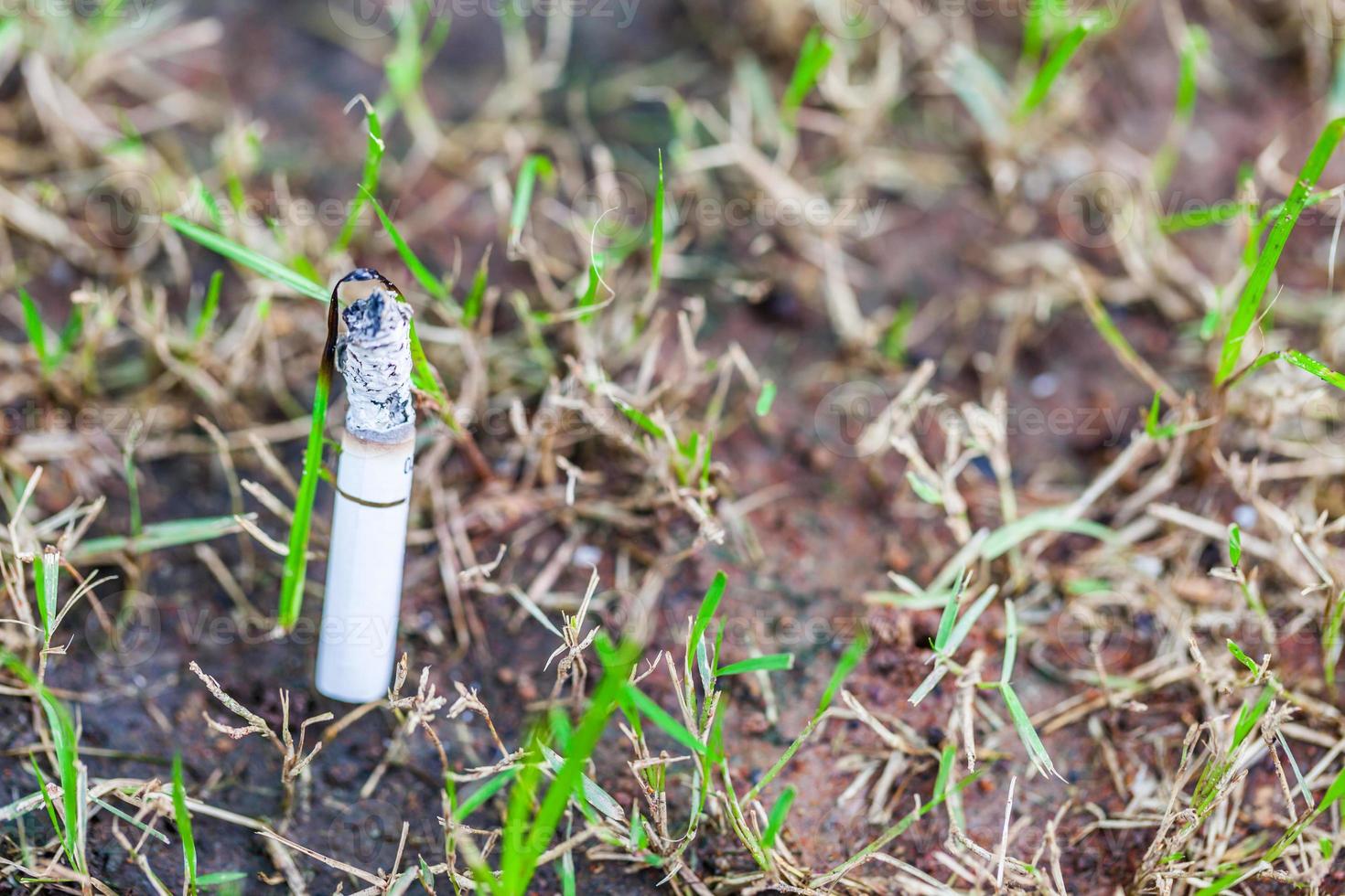 imagem do cigarro está no gramado foto