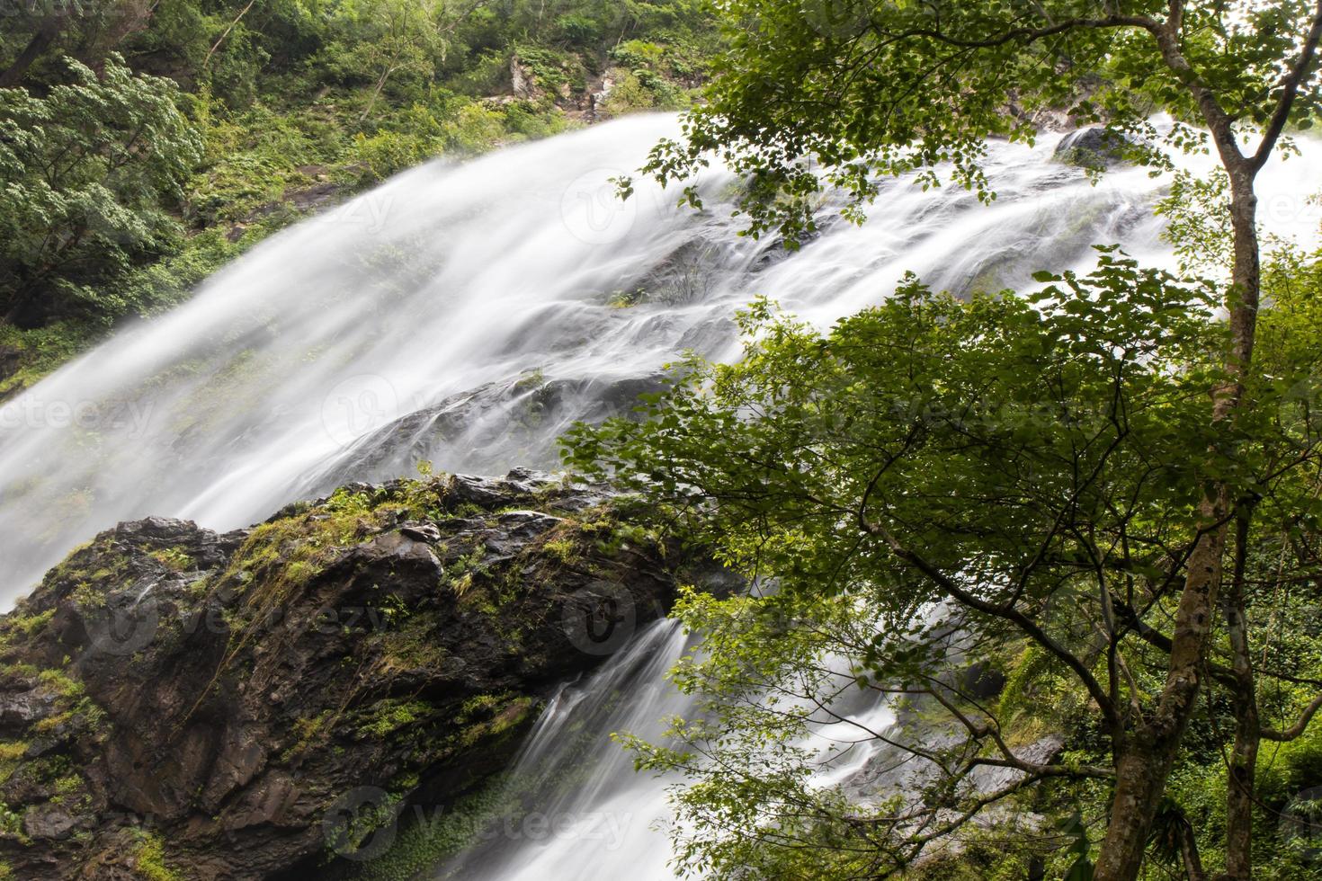 cachoeira perto de árvores. foto