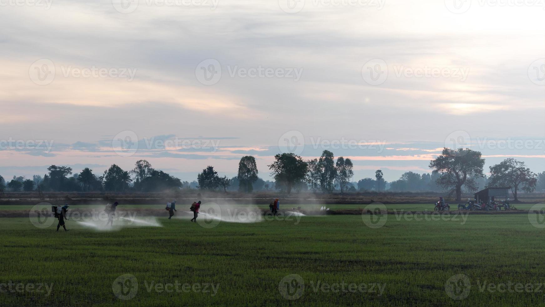 agricultores pulverizando herbicidas. foto