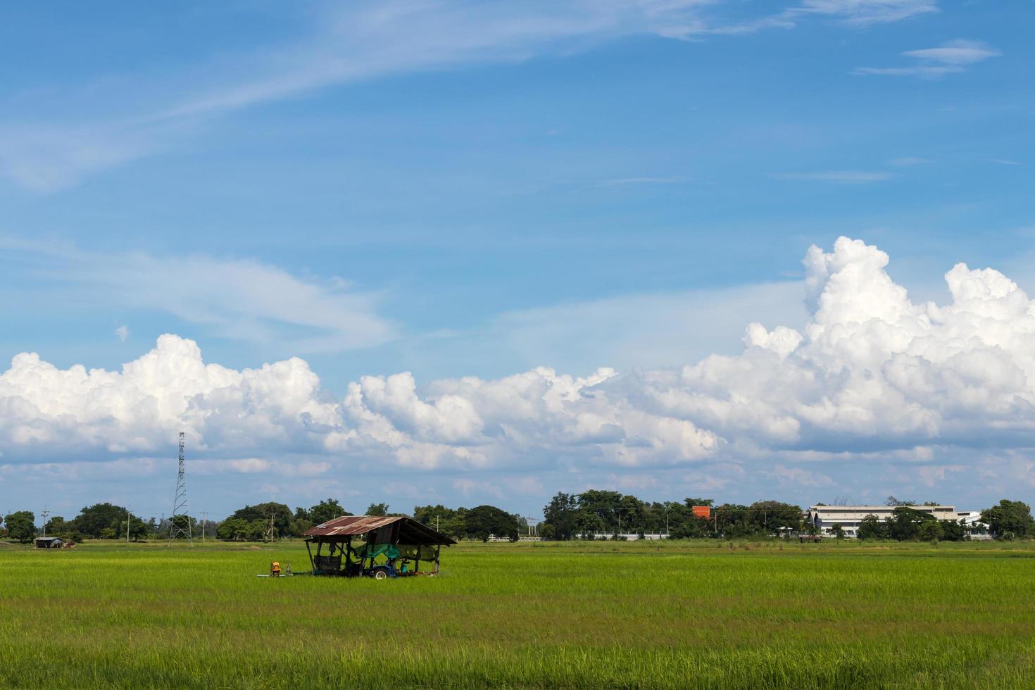 céu nublado verde arroz arrozal rural. foto