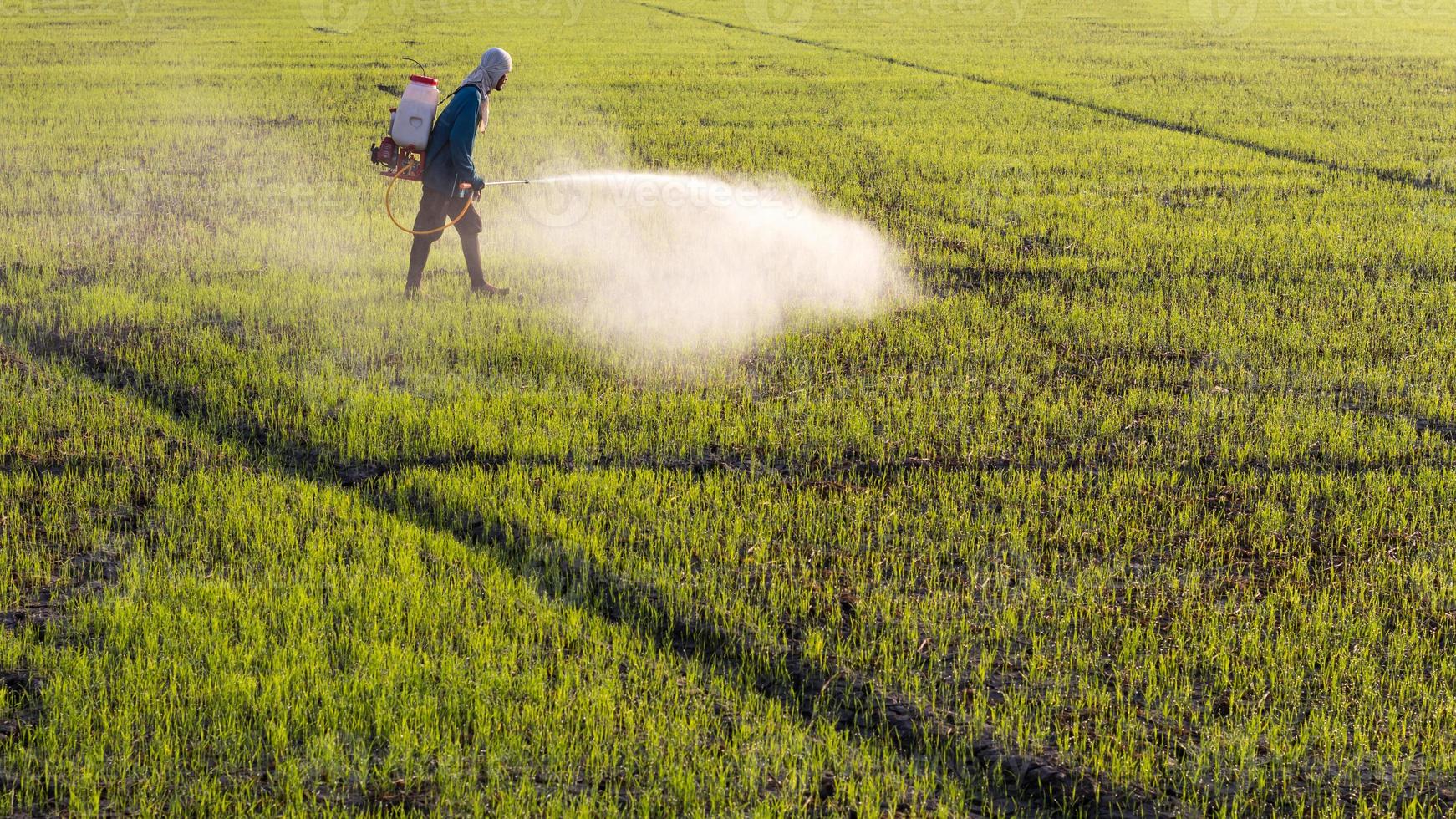 agricultor pulverizando herbicidas. foto