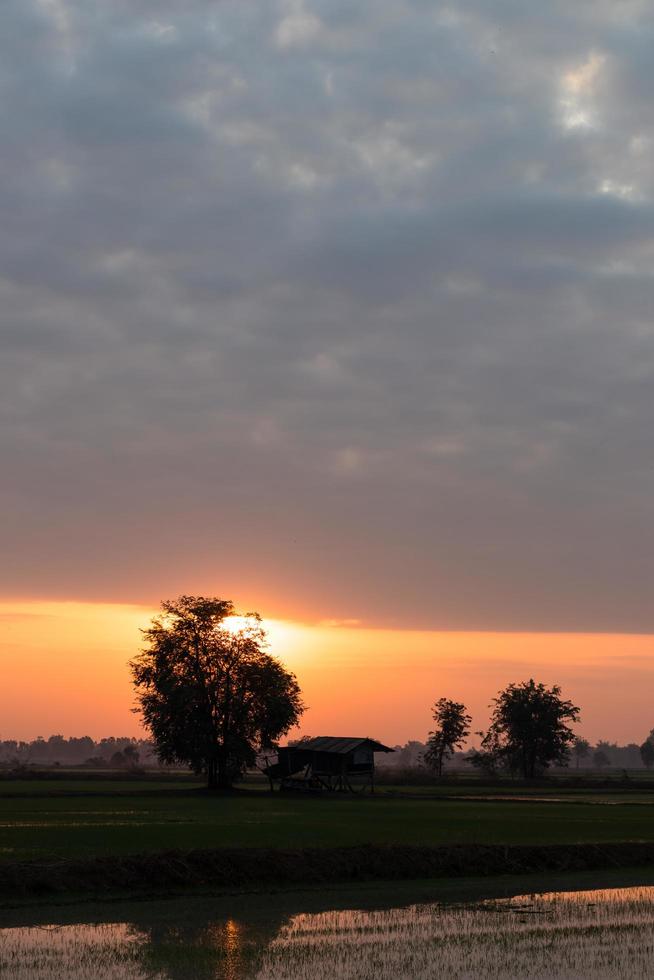 nascer do sol da manhã com árvores perto da casa de campo. foto